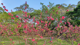 刘芳菲发文回应离职：会继续深耕文化领域